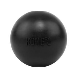 KONG Extreme Ball Large