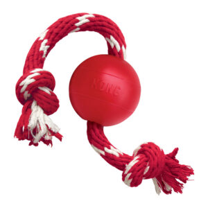KONG Ball w/Rope Small